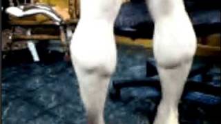 my muscle calves