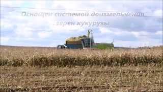 CLAAS JAGUAR 810/830 уборка кукурузы. ЗАО "Железнодорожник". Иркутская обл.