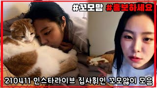 [마마무 휘인] 210411 꼬모앓이 모음 (+홍보하세요)