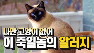 알러지 인간들 드루와 드루와!