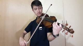 Stitches by Shawn Mendes Violin Cover