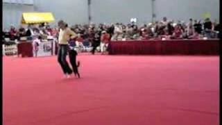 Dog dancing