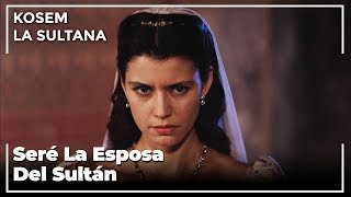 El sultán Ahmed Regresa Con Rasa Hatun | Kosem La Sultana