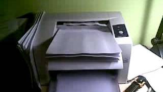 XEROX 3117