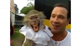 10 самых смешных видео WhatsApp, приколы, шутки, розыгрыш.