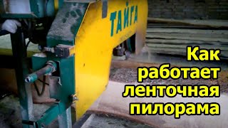 Производство "Даромдома": ленточная пилорама