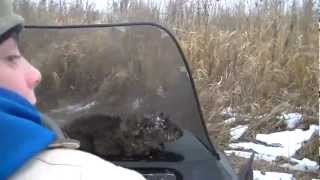 Week 5:Checking the Mink/Muskrat Traps