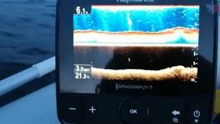 Эхолот raymarine dragonfly 7 pro. Он же  Стрекоза.