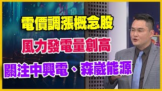 【#財經週日趴 獨家精華版】電價調漲概念股 風力發電量創高 關注中興電、森崴能源 2024.03.17 @FTV_Forum​