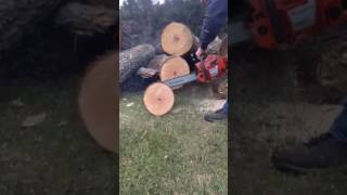 Husqvarna 254 for sale