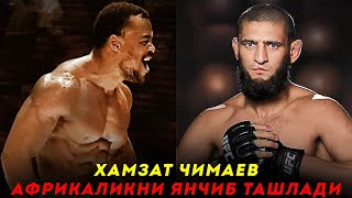 Хамзат Чимаев Африкалик Буқага Қарши / Дахшатли Жанг