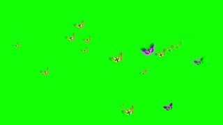 ?ЦВЕТНЫЕ МОТЫЛЬКИ ЛЕТАЮТ. Футаж. Хромакей. Зелёный экран. Chroma Key. Green Screen.