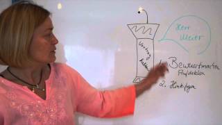 Gefühle und Gedanken - Tanja Witzgall HP Psych