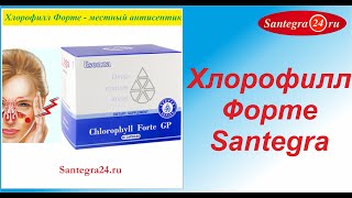 Chlorophyll Forte GP Хлорофилл Форте Santegra Сантегра