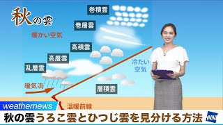 秋の雲 うろこ雲とひつじ雲を見分ける方法
