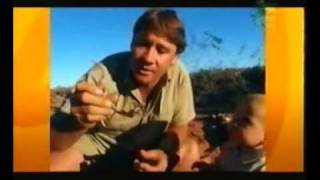 My Daddy The Crocodile Hunter (Part 1)