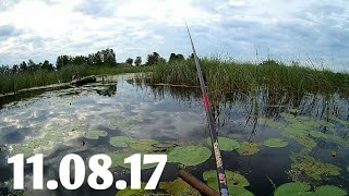 Ловля "крупного" карася и линя на деревенском пруду | Ловля на поплавочную удочку