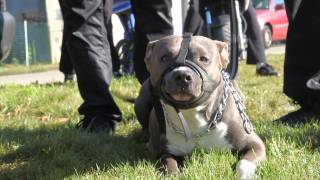 Rosko - BLACK JACK 350 BOOMKER ( 1080p )