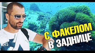 Самый лучший дайвинг и подводный мир острова Ко Тао. Очень много дайверов. Подводная съемка