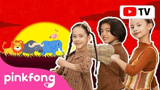 Hakuna Matata | Canciones de Animales | Pinkfong Canta & Baila | Canciones ​Infantiles