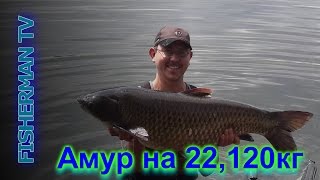 Новый рекорд АМУР НА 22,120 КГ CARP FISHING PART 3