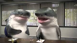 Snickers great white shark commercial - The Dorsal Fin