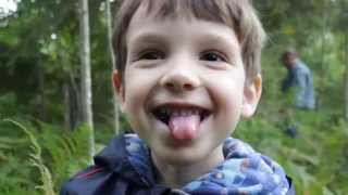 Оскар собирает чернику в лесу VLOG Oskar TV Приозерский район урожай ягода