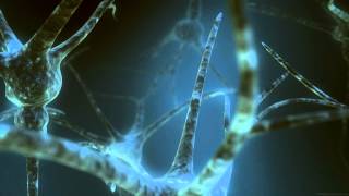 Pan-Pot - Cells (Bruno Ledesma Remix)