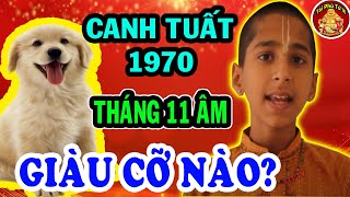 Nhận Định MỚI NHẤT Về Tử Vi Tuổi Canh Tuất 1970 Tháng 11 Âm Lịch - Tài Phú Tử Vi