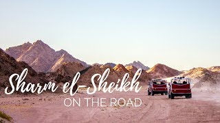 Sharm el-Sheikh, Egitto | On the road w/ Balkan Express