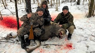 Охота на Лося Без Цензуры. Elk Hunting