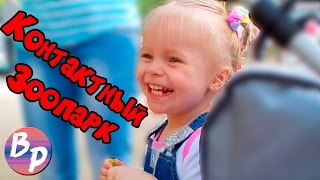 Влог! Гуляем в парке! Кормим свинку в контактном зоопарке для детей! Видео на русском!