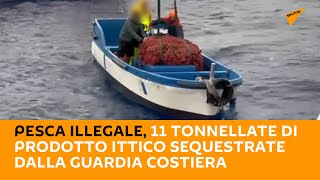 #Pesca illegale, 11 tonnellate di prodotto ittico sequestrate dalla Guardia Costiera