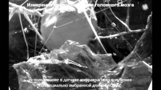 Модель биометрических отражений / Model of biometric reflexions