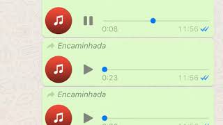 Que diabo de música é essa ai - Áudios engraçados do Whatsapp