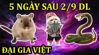 GIỚI THẦN HỌC SỐC LỊM THẤY 3 CON GIÁP ĐƯỢC BỀ TRÊN CHỐNG LƯNG, TRÚNG QUẢ XÓA NỢ, VÀO 5 NGÀY SAU 2/9