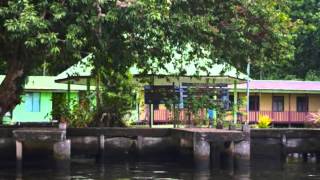 Visita el Área de Conservación Tortuguero