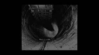 Die Warzau - Curious