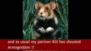 Raggot The Hamster AFP Forbidden News Bulletin