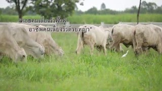 ทอชทีวี ดินเปลี่ยนชีวิต ตอน ปลดสนตะพายคนเลี้ยงวัว (ตอน 5)