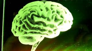 Your brain on LaserWeb