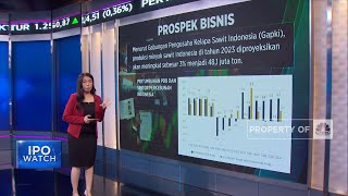 Perusahaan Sawit NSSS Mau IPO Tapi Valuasi Mahal, Layak Beli?