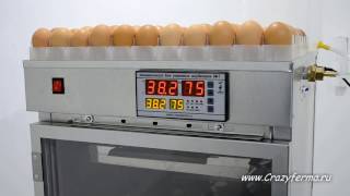 Инкубатор автоматический АИ-264 от CrazyFerma