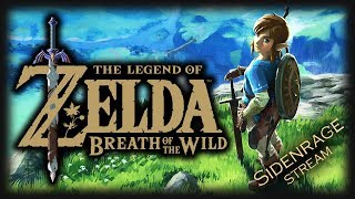 Legend of Zelda: Breath of the Wild [1]