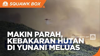 Diterpa Gelombang Panas, Kebakaran Hutan Yunani Tambah Parah