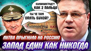ЛИТОВСКИЙ ЭМИРАТ НАГНЕТ КАЛИНИНГРАД? или экскурс в западное нерушимое единство