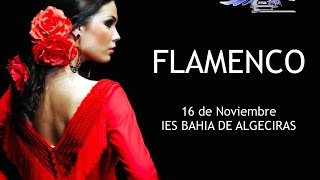 Vídeo didáctico sobre el flamenco