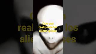 Que son realmente los alienigenas grises?
