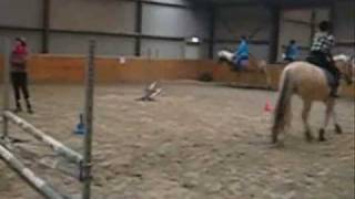 Springles ponycentrum Koopman