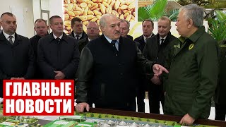 Лукашенко: Кто бы поднялся на этом? Тот, кто деньги печатает! / Неделя. Главные новости
